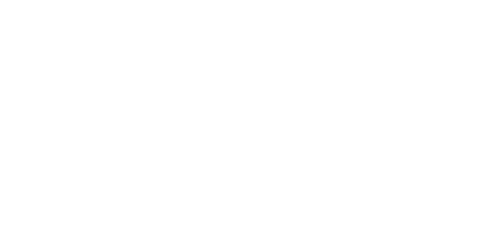 TUNIC TUNIC