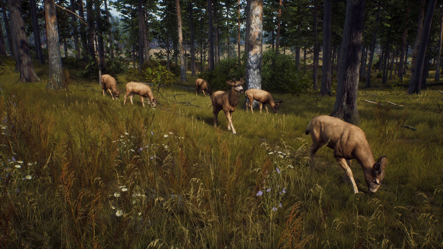 خرید اکانت قانونی Way of the Hunter: Elite Edition برای PS5 خرید اکانت قانونی Way of the Hunter: Elite Edition برای PS5