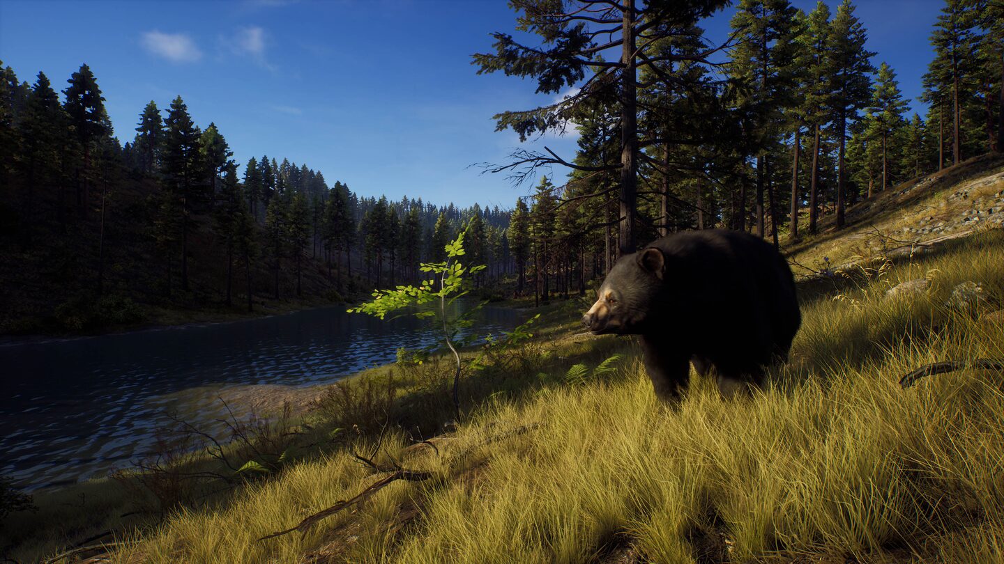 خرید اکانت قانونی Way of the Hunter: Elite Edition برای PS5 خرید اکانت قانونی Way of the Hunter: Elite Edition برای PS5