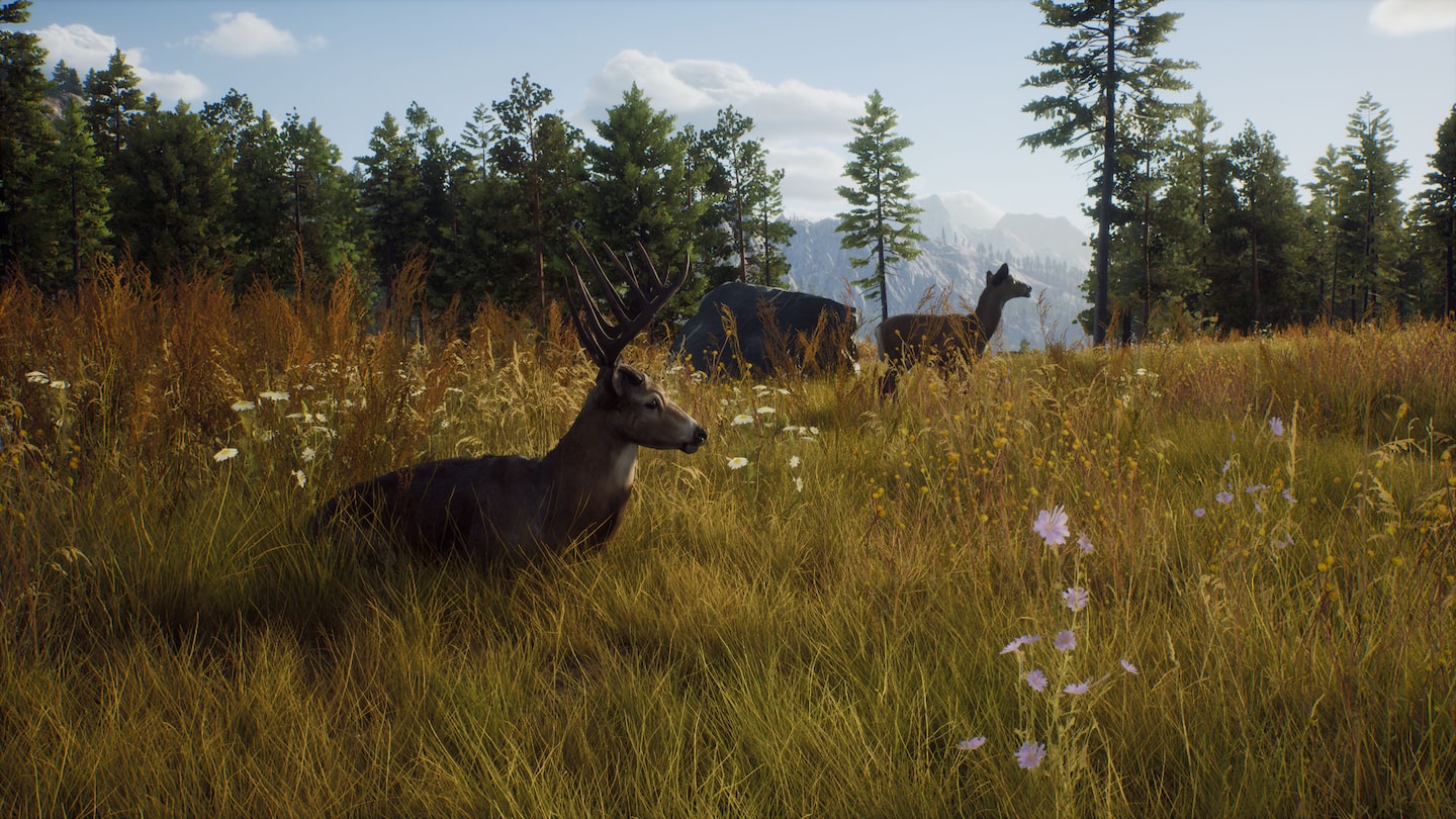 خرید اکانت قانونی Way of the Hunter - Ultimate Edition برای PS5 خرید اکانت قانونی Way of the Hunter - Ultimate Edition برای PS5