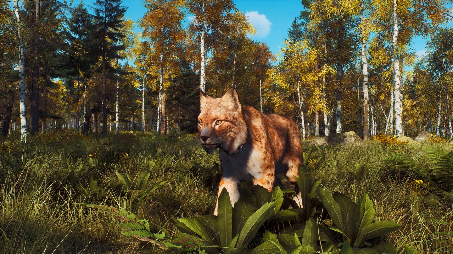 خرید اکانت قانونی Way of the Hunter - Ultimate Edition برای PS5 خرید اکانت قانونی Way of the Hunter - Ultimate Edition برای PS5