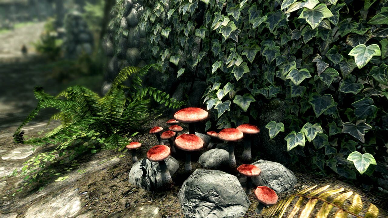 خرید اکانت قانونی The Elder Scrolls V: Skyrim Special Edition - PS5 & PS4 برای PS4 & PS5 خرید اکانت قانونی The Elder Scrolls V: Skyrim Special Edition - PS5 & PS4 برای PS4 & PS5