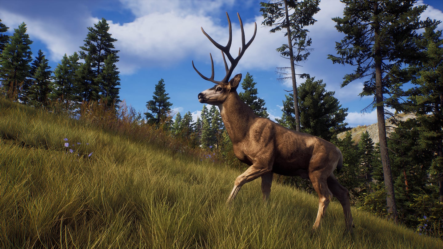 خرید اکانت قانونی Way of the Hunter: Elite Edition برای PS5 خرید اکانت قانونی Way of the Hunter: Elite Edition برای PS5