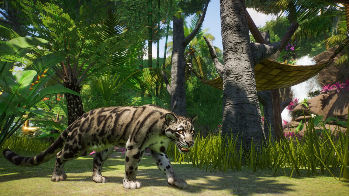 خرید اکانت قانونی Planet Zoo: Deluxe Edition برای PS5 خرید اکانت قانونی Planet Zoo: Deluxe Edition برای PS5