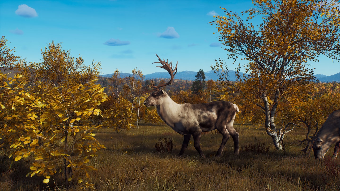 خرید اکانت قانونی Way of the Hunter - Ultimate Edition برای PS5 خرید اکانت قانونی Way of the Hunter - Ultimate Edition برای PS5