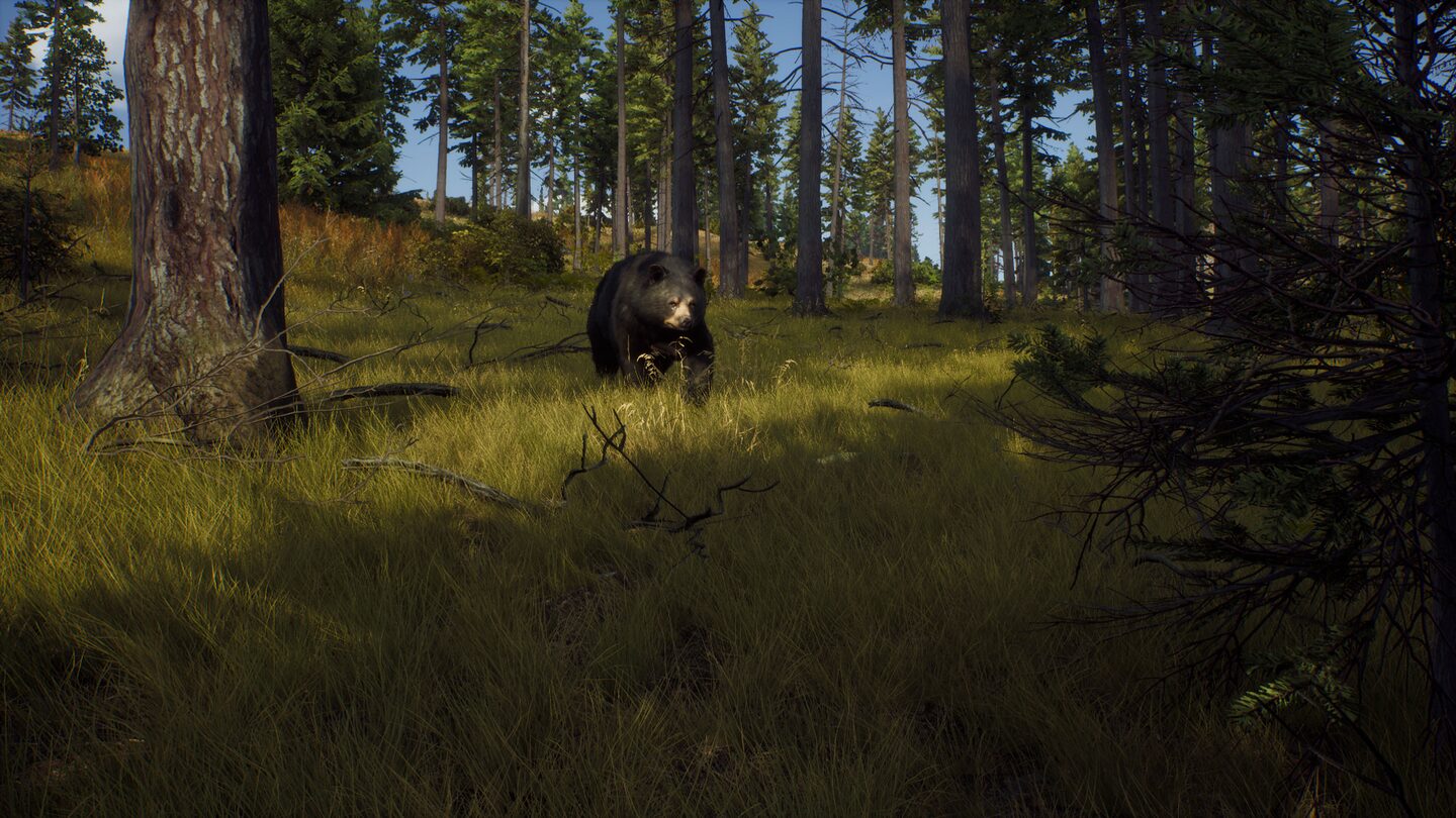خرید اکانت قانونی Way of the Hunter - Ultimate Edition برای PS5 خرید اکانت قانونی Way of the Hunter - Ultimate Edition برای PS5