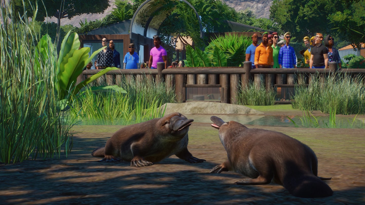 خرید اکانت قانونی Planet Zoo: Deluxe Edition برای PS5 خرید اکانت قانونی Planet Zoo: Deluxe Edition برای PS5