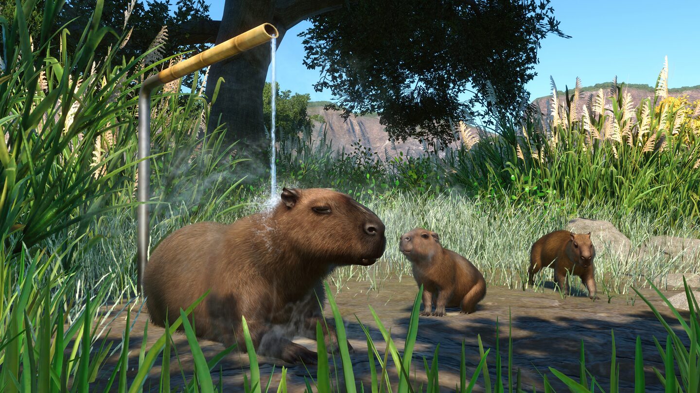 خرید اکانت قانونی Planet Zoo: Deluxe Edition برای PS5 خرید اکانت قانونی Planet Zoo: Deluxe Edition برای PS5